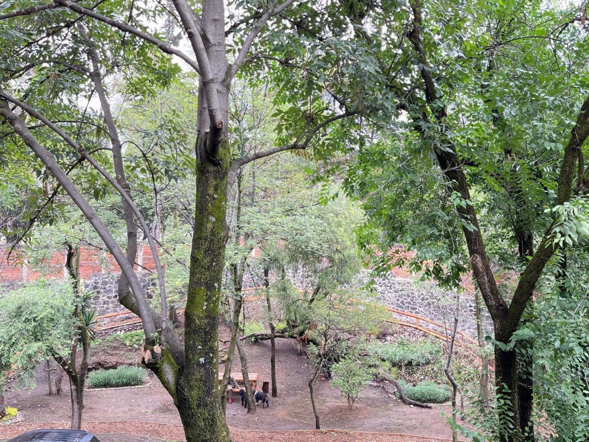 Mi Refugio San Angel Villa Mexico-stad Buitenkant foto