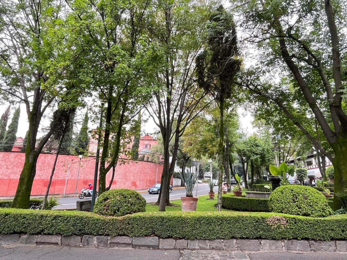 Mi Refugio San Angel Villa Mexico-stad Buitenkant foto