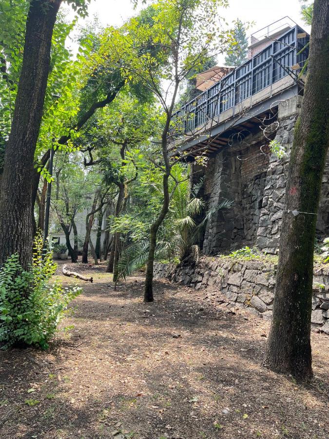 Mi Refugio San Angel Villa Mexico-stad Buitenkant foto